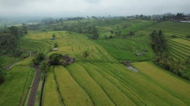 Bali, Endonezya - 11 Kasım 2022: Bali 'nin Turistik Çekim ve Yerleşkeleri