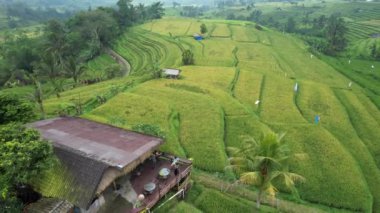 Bali, Endonezya - 11 Kasım 2022: Bali 'nin Turistik Çekim ve Yerleşkeleri