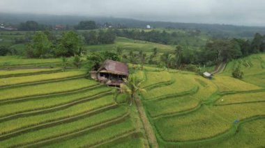 Bali, Endonezya - 11 Kasım 2022: Bali 'nin Turistik Çekim ve Yerleşkeleri