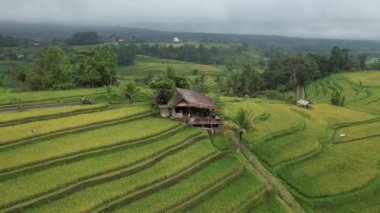 Bali, Endonezya - 11 Kasım 2022: Bali 'nin Turistik Çekim ve Yerleşkeleri