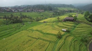 Bali, Endonezya - 11 Kasım 2022: Bali 'nin Turistik Çekim ve Yerleşkeleri