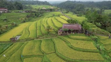 Bali, Endonezya - 11 Kasım 2022: Bali 'nin Turistik Çekim ve Yerleşkeleri