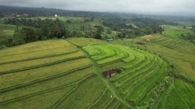 Bali, Endonezya - 11 Kasım 2022: Bali 'nin Turistik Çekim ve Yerleşkeleri