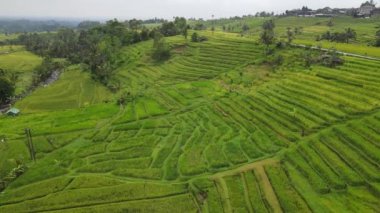 Bali, Endonezya - 11 Kasım 2022: Bali 'nin Turistik Çekim ve Yerleşkeleri