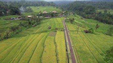 Bali, Endonezya - 11 Kasım 2022: Bali 'nin Turistik Çekim ve Yerleşkeleri