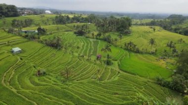 Bali, Endonezya - 11 Kasım 2022: Bali 'nin Turistik Çekim ve Yerleşkeleri