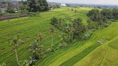 Bali, Endonezya - 11 Kasım 2022: Bali 'nin Turistik Çekim ve Yerleşkeleri