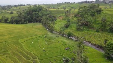 Bali, Endonezya - 11 Kasım 2022: Bali 'nin Turistik Çekim ve Yerleşkeleri