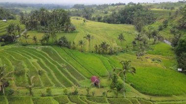 Bali, Endonezya - 11 Kasım 2022: Bali 'nin Turistik Çekim ve Yerleşkeleri