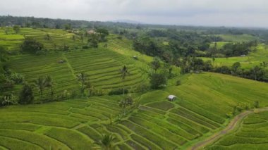 Bali, Endonezya - 11 Kasım 2022: Bali 'nin Turistik Çekim ve Yerleşkeleri