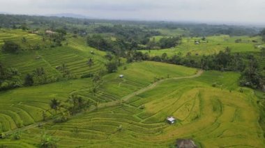 Bali, Endonezya - 11 Kasım 2022: Bali 'nin Turistik Çekim ve Yerleşkeleri