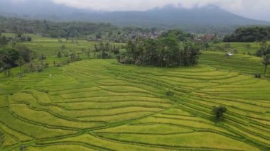 Bali, Endonezya - 11 Kasım 2022: Bali 'nin Turistik Çekim ve Yerleşkeleri