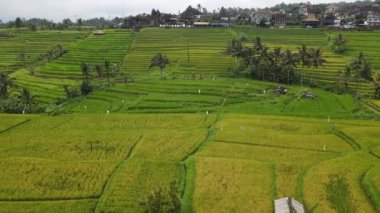 Bali, Endonezya - 11 Kasım 2022: Bali 'nin Turistik Çekim ve Yerleşkeleri