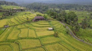 Bali, Endonezya - 11 Kasım 2022: Bali 'nin Turistik Çekim ve Yerleşkeleri