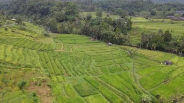 Bali, Endonezya - 11 Kasım 2022: Bali 'nin Turistik Çekim ve Yerleşkeleri