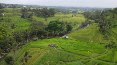 Bali, Endonezya - 11 Kasım 2022: Bali 'nin Turistik Çekim ve Yerleşkeleri