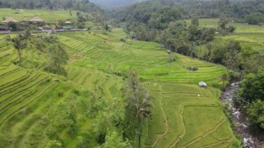 Bali, Endonezya - 11 Kasım 2022: Bali 'nin Turistik Çekim ve Yerleşkeleri