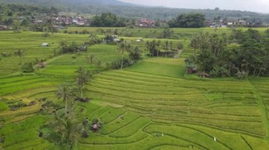 Bali, Endonezya - 11 Kasım 2022: Bali 'nin Turistik Çekim ve Yerleşkeleri