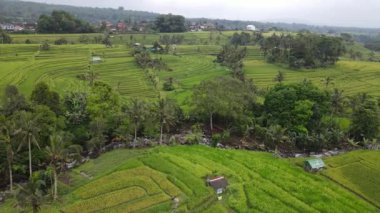 Bali, Endonezya - 11 Kasım 2022: Bali 'nin Turistik Çekim ve Yerleşkeleri