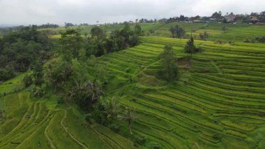 Bali, Endonezya - 11 Kasım 2022: Bali 'nin Turistik Çekim ve Yerleşkeleri