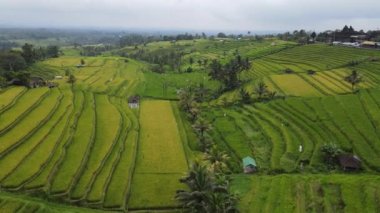 Bali, Endonezya - 11 Kasım 2022: Bali 'nin Turistik Çekim ve Yerleşkeleri