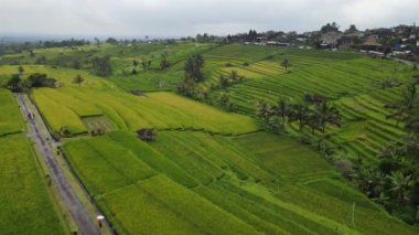 Bali, Endonezya - 11 Kasım 2022: Bali 'nin Turistik Çekim ve Yerleşkeleri