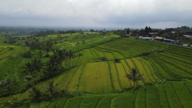 Bali, Endonezya - 11 Kasım 2022: Bali 'nin Turistik Çekim ve Yerleşkeleri