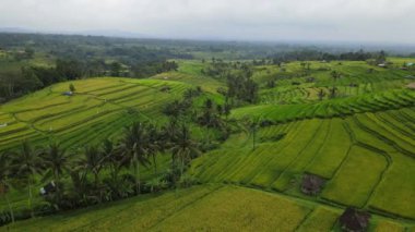 Bali, Endonezya - 11 Kasım 2022: Bali 'nin Turistik Çekim ve Yerleşkeleri