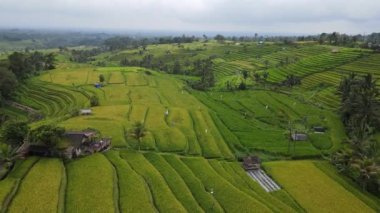 Bali, Endonezya - 11 Kasım 2022: Bali 'nin Turistik Çekim ve Yerleşkeleri