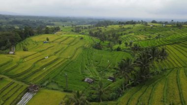 Bali, Endonezya - 11 Kasım 2022: Bali 'nin Turistik Çekim ve Yerleşkeleri