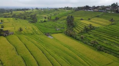 Bali, Endonezya - 11 Kasım 2022: Bali 'nin Turistik Çekim ve Yerleşkeleri