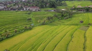 Bali, Endonezya - 11 Kasım 2022: Bali 'nin Turistik Çekim ve Yerleşkeleri