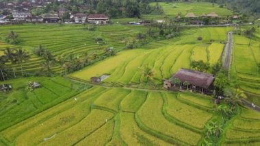 Bali, Endonezya - 11 Kasım 2022: Bali 'nin Turistik Çekim ve Yerleşkeleri