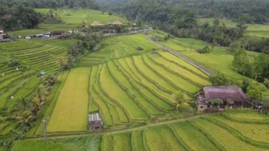 Bali, Endonezya - 11 Kasım 2022: Bali 'nin Turistik Çekim ve Yerleşkeleri