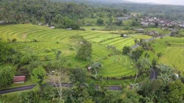 Bali, Endonezya - 11 Kasım 2022: Bali 'nin Turistik Çekim ve Yerleşkeleri