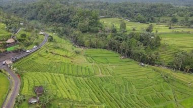 Bali, Endonezya - 11 Kasım 2022: Bali 'nin Turistik Çekim ve Yerleşkeleri
