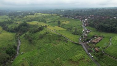 Bali, Endonezya - 11 Kasım 2022: Bali 'nin Turistik Çekim ve Yerleşkeleri