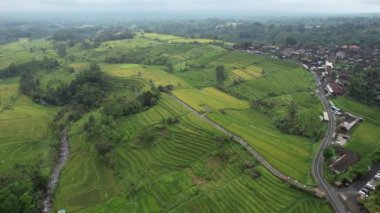 Bali, Endonezya - 11 Kasım 2022: Bali 'nin Turistik Çekim ve Yerleşkeleri