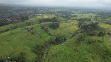 Bali, Endonezya - 11 Kasım 2022: Bali 'nin Turistik Çekim ve Yerleşkeleri
