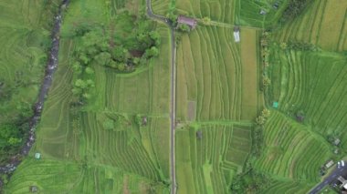 Bali, Endonezya - 11 Kasım 2022: Bali 'nin Turistik Çekim ve Yerleşkeleri