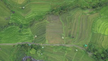 Bali, Endonezya - 11 Kasım 2022: Bali 'nin Turistik Çekim ve Yerleşkeleri