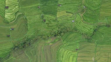 Bali, Endonezya - 11 Kasım 2022: Bali 'nin Turistik Çekim ve Yerleşkeleri