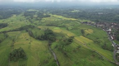 Bali, Endonezya - 11 Kasım 2022: Bali 'nin Turistik Çekim ve Yerleşkeleri