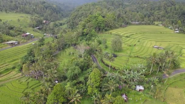 Бали Индонезия Ноября 2022 Года Туристические Достопримечательности Достопримечательности Бали — стоковое видео