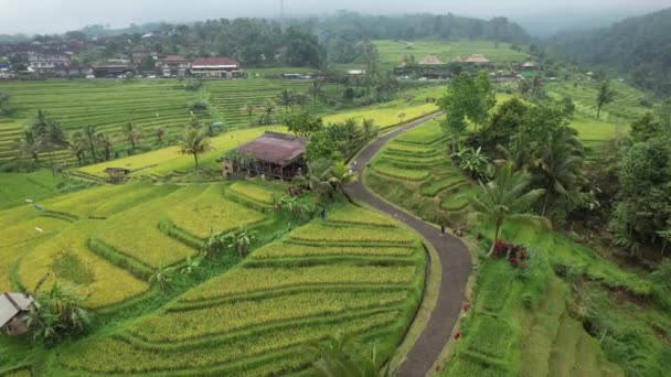 Bali Indonesien November 2022 Turistsevärdheter Och Landmärken Bali — Stockvideo