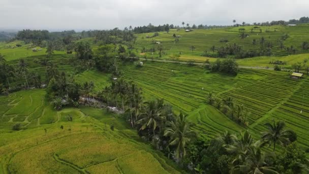 Bali Indonézia November 2022 Turisztikai Látványosságok Látnivalók Bali — Stock videók