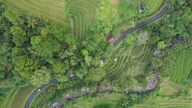 Bali, Endonezya - 11 Kasım 2022: Bali 'nin Turistik Çekim ve Yerleşkeleri