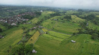 Bali, Endonezya - 11 Kasım 2022: Bali 'nin Turistik Çekim ve Yerleşkeleri