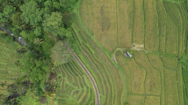 Bali, Endonezya - 11 Kasım 2022: Bali 'nin Turistik Çekim ve Yerleşkeleri