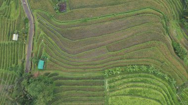 Bali, Endonezya - 11 Kasım 2022: Bali 'nin Turistik Çekim ve Yerleşkeleri